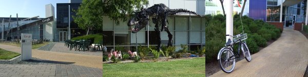 Google montage Google montage